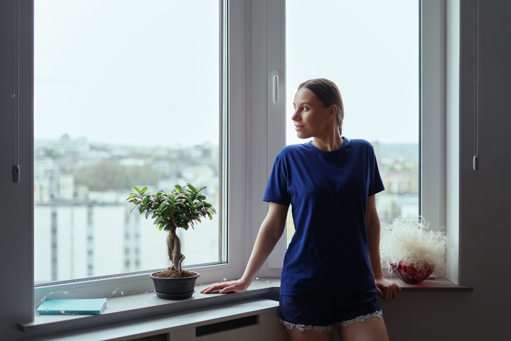 Davenport Vinyl Windows